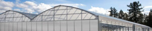 Polycarbonate sheet structure in Delhi